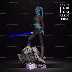 Aayla Secura Blue V2 3D Printer Files STL Model