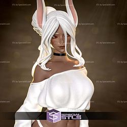Mirko Beautiful Boku no Hero STL Files 3D Model