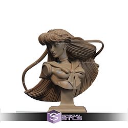 Sailor Mars Rei Hino Flame Priestess Bust STL Files 3D Model