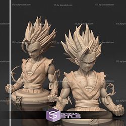 Gohan SSJ2 Injury Bust STL Files 3D Model