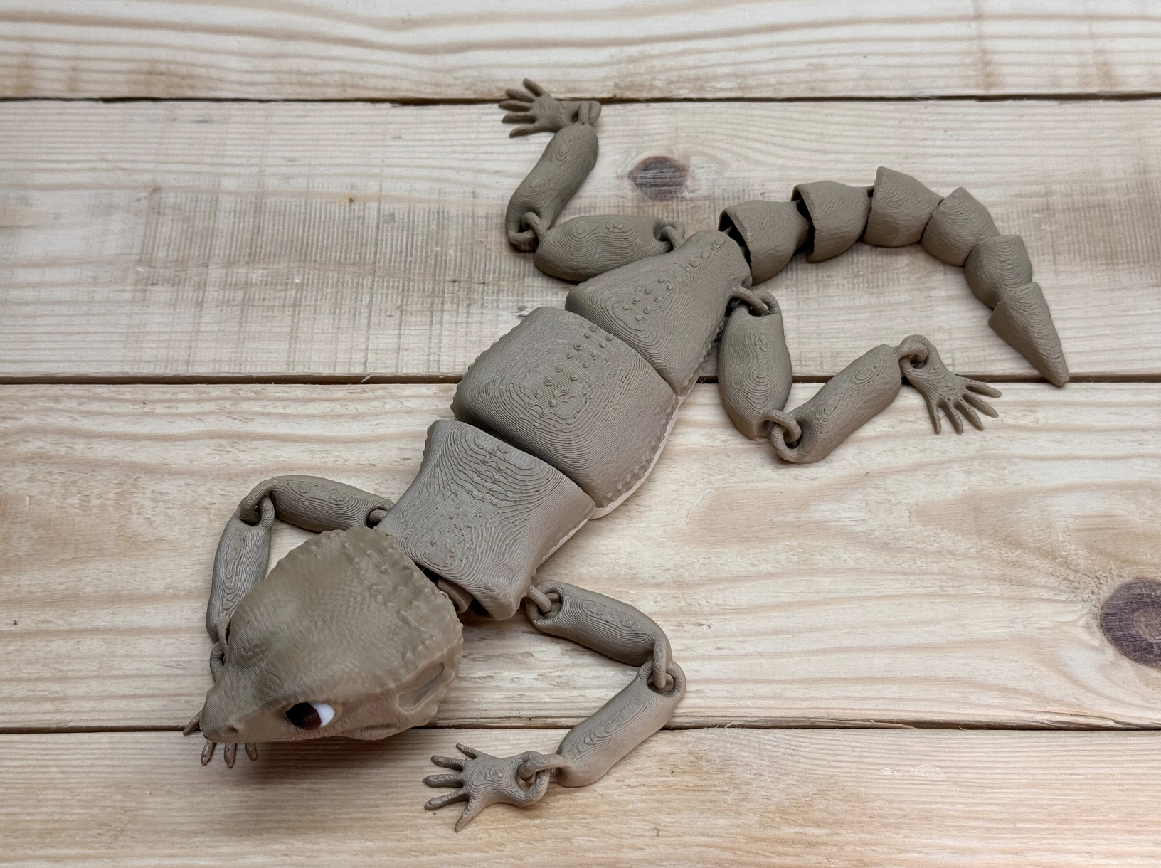 Baby Beardie (Baby Bearded Dragon) 3D STL Model