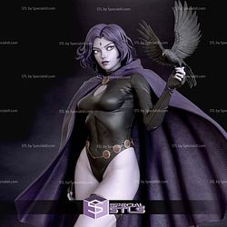 Raven Hood On 3D Printer Files STL Model
