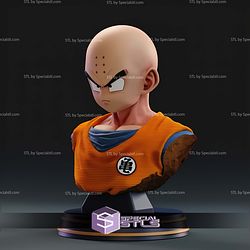 Krillin Bust STL Files 3D Model