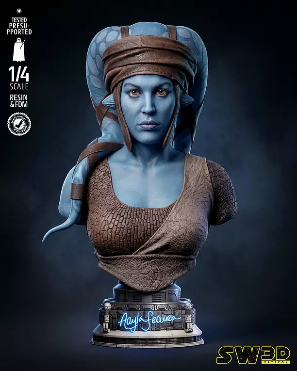 STAR WARS Aayla Secura Portrait Bust 3D PNG Model