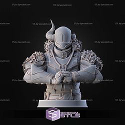 Destiny Lord Shaxx Bust STL Files 3D Model