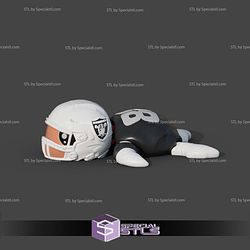 Basic STL Collection Football Turtle Las Vegas Raiders 3D Model