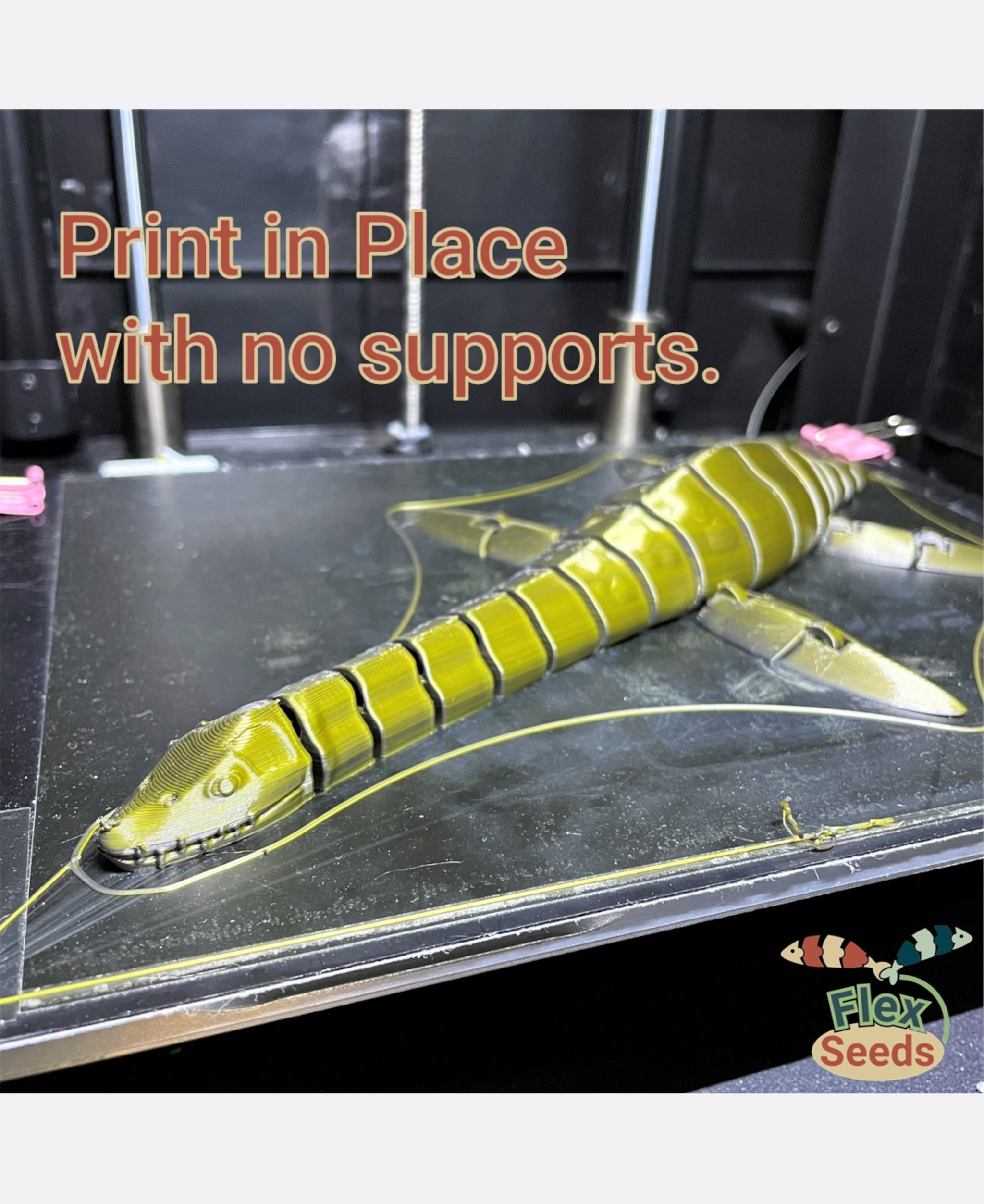 Flexi Plesiosaurus (print-in-placeiosaurus) 3D STL Model — view 4