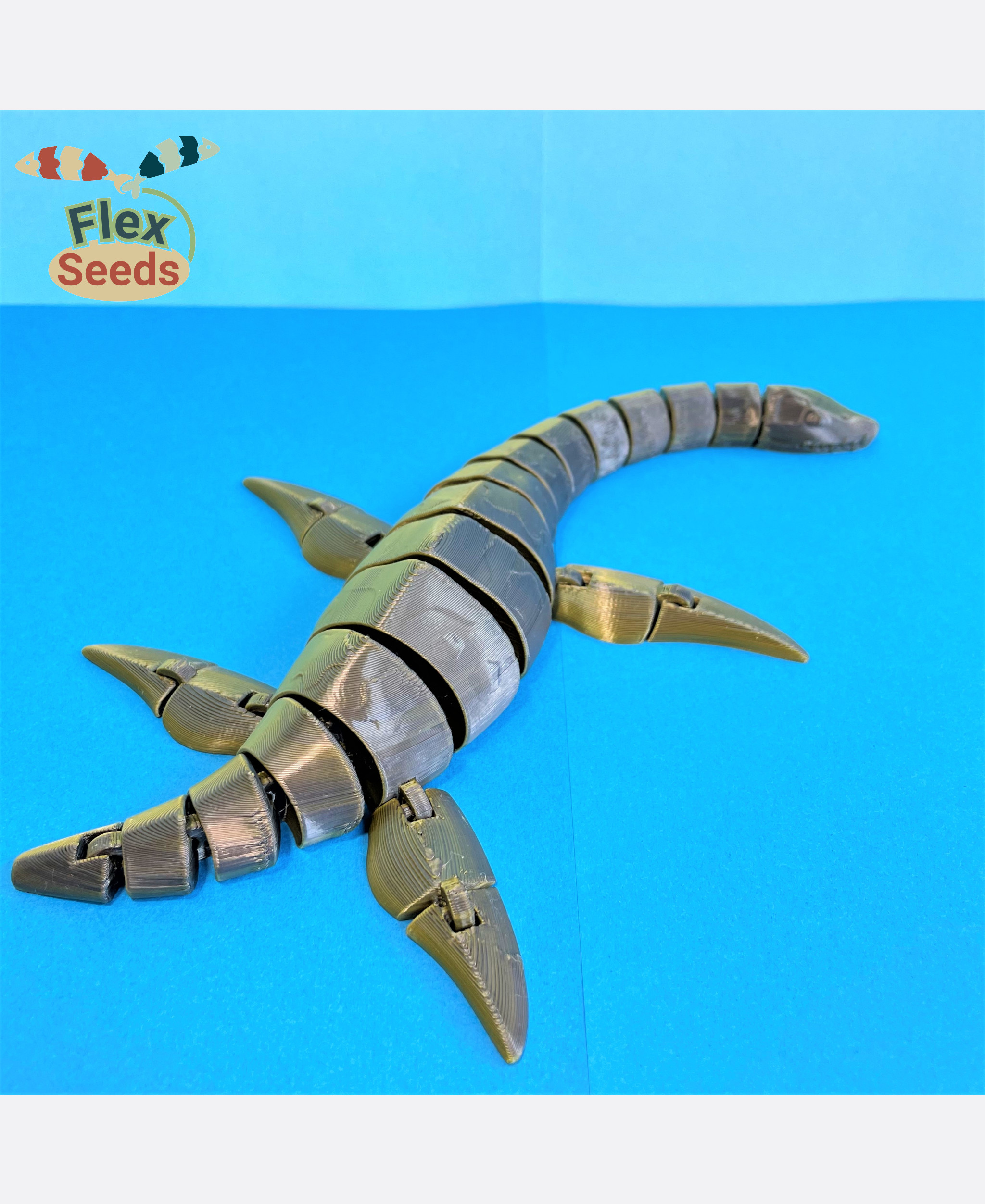 Flexi Plesiosaurus (print-in-placeiosaurus) 3D STL Model — view 7