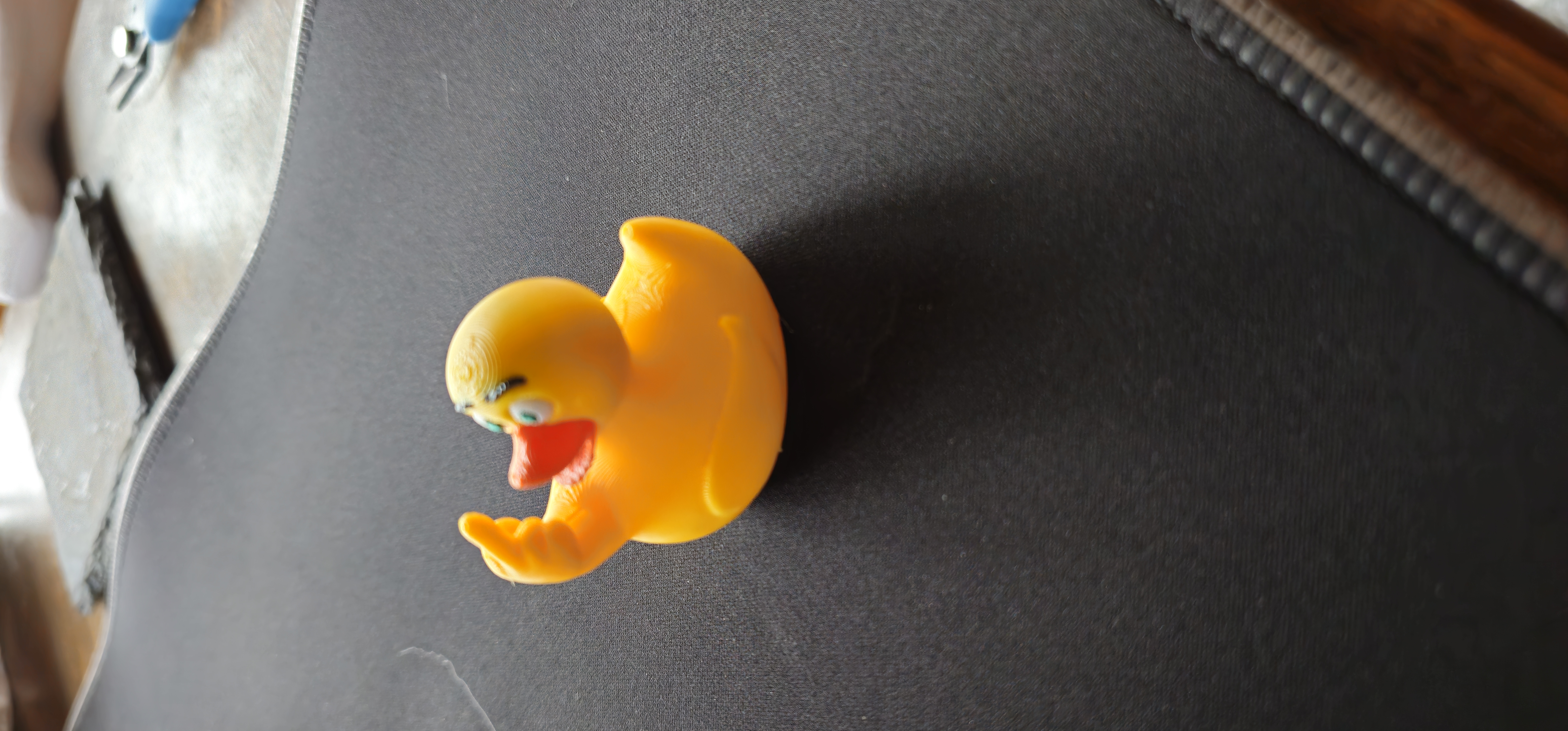 Look what I found duck 3D 3MF Model