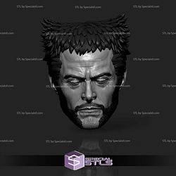 Custom Head STL Wolverine Logan Deadpool 3 3D Model