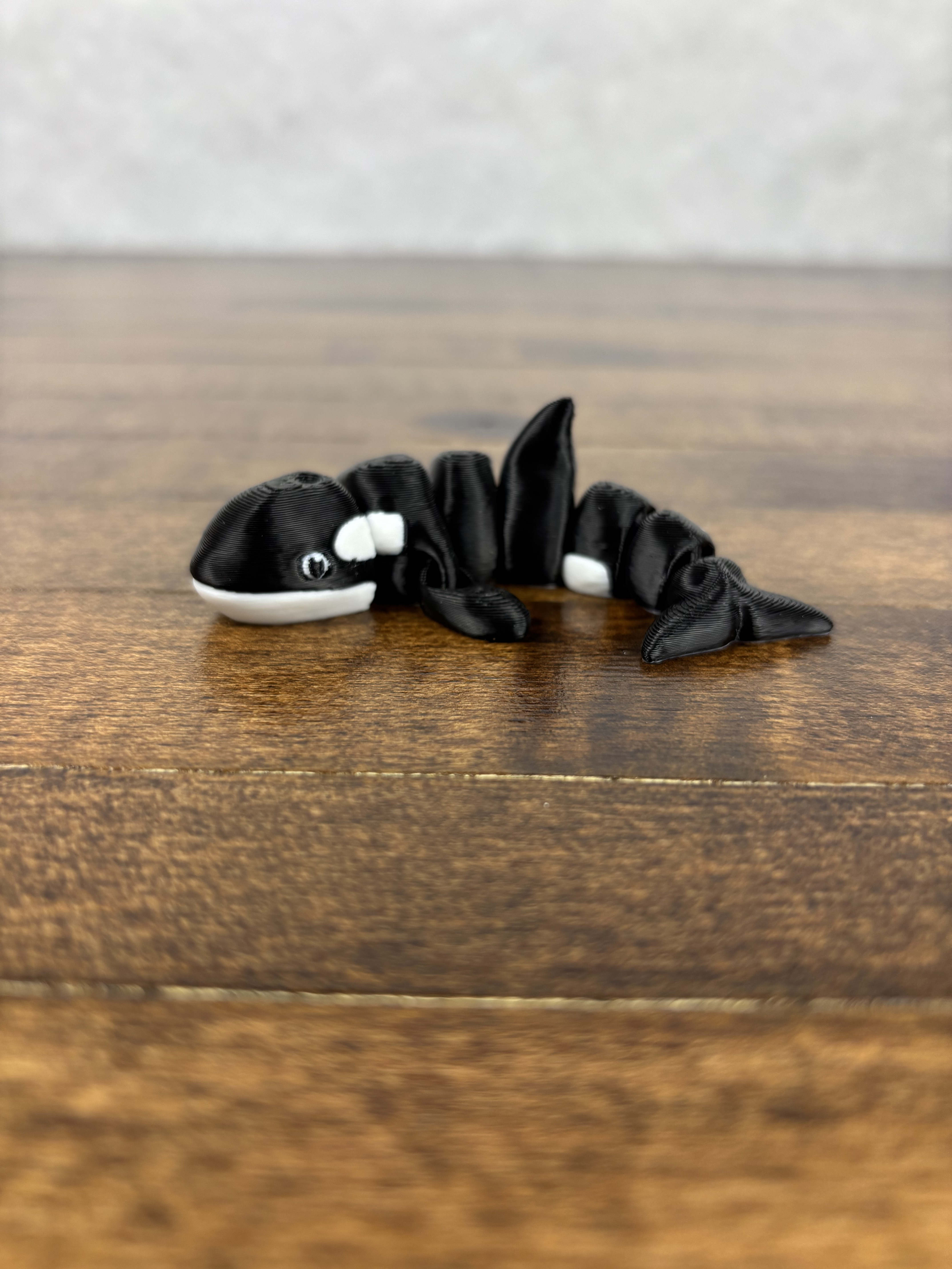 Killer Whale Fidget 3D 3MF Model