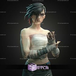Vi Arena Fighter 1-10 STL Files 3D Model