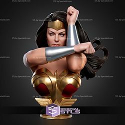 Wonder Woman Kingdom Come Portrait Bust 325mm STL Files 3D Model