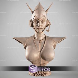 The Wasp Portrait Bust Comics STL Files 3D Model