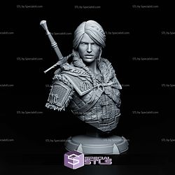 Ciri The Witcher 4 Bust STL Files 3D Model