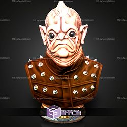 Basic STL Collection Bom Vimdim Bust 3D Model