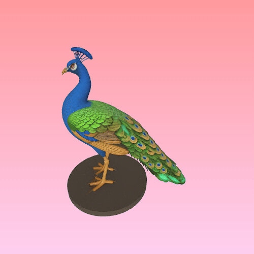 4291 Color 3D Model of Peacock  animals  STL  DND  ARTE GLTF Model — view 7