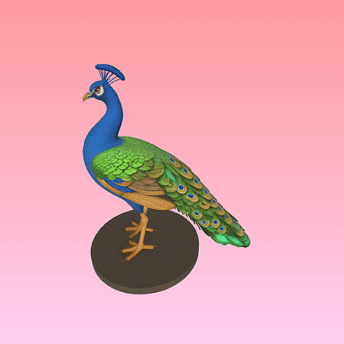 4291 Color 3D Model of Peacock  animals  STL  DND  ARTE GLTF Model — view 8