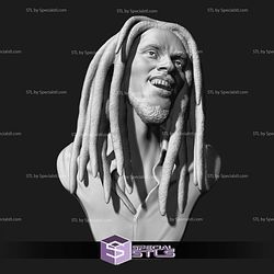 Bob Marley Bust 3D Printing Models STL Model