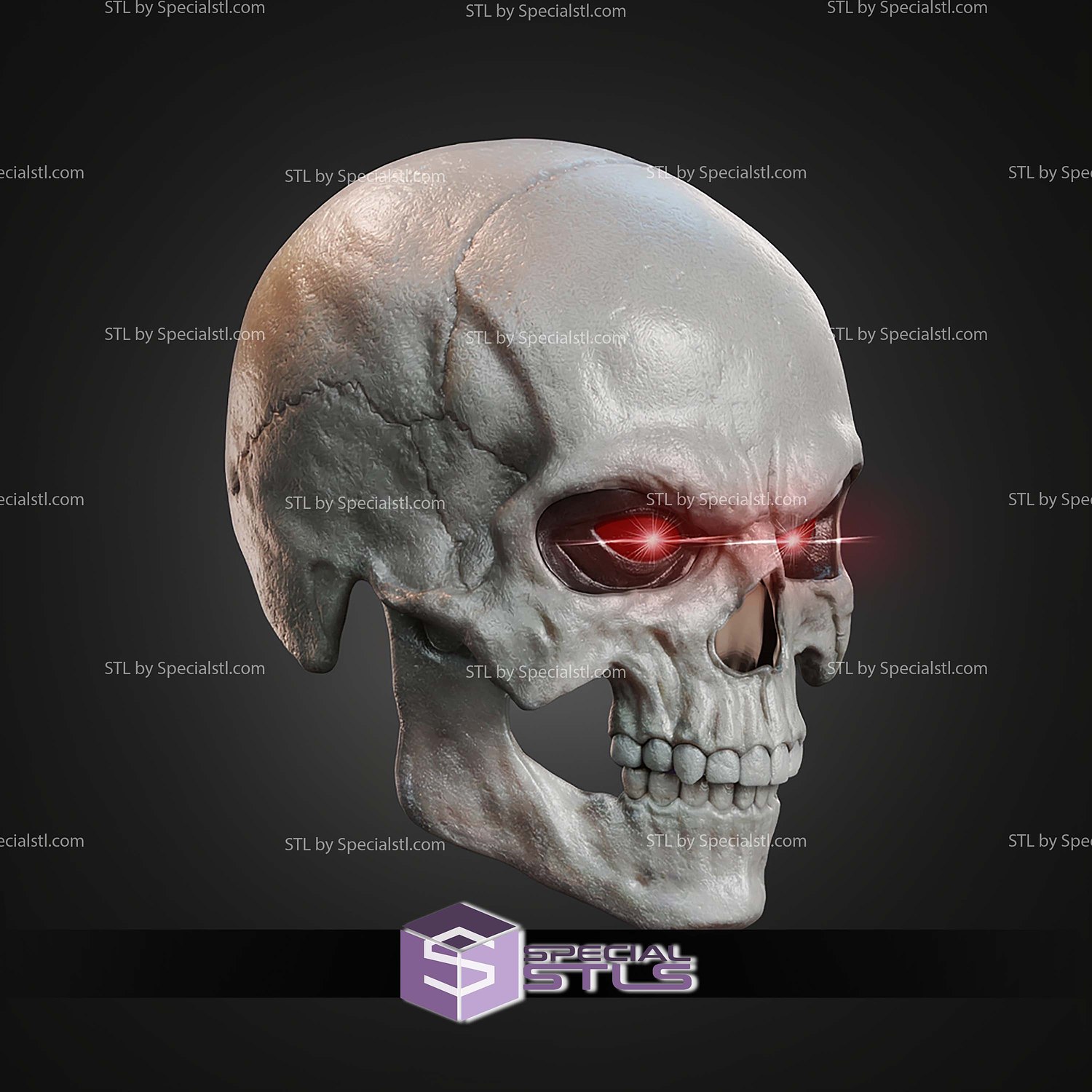 Cosplay STL Files Skeletor Mask 3D Model — view 3