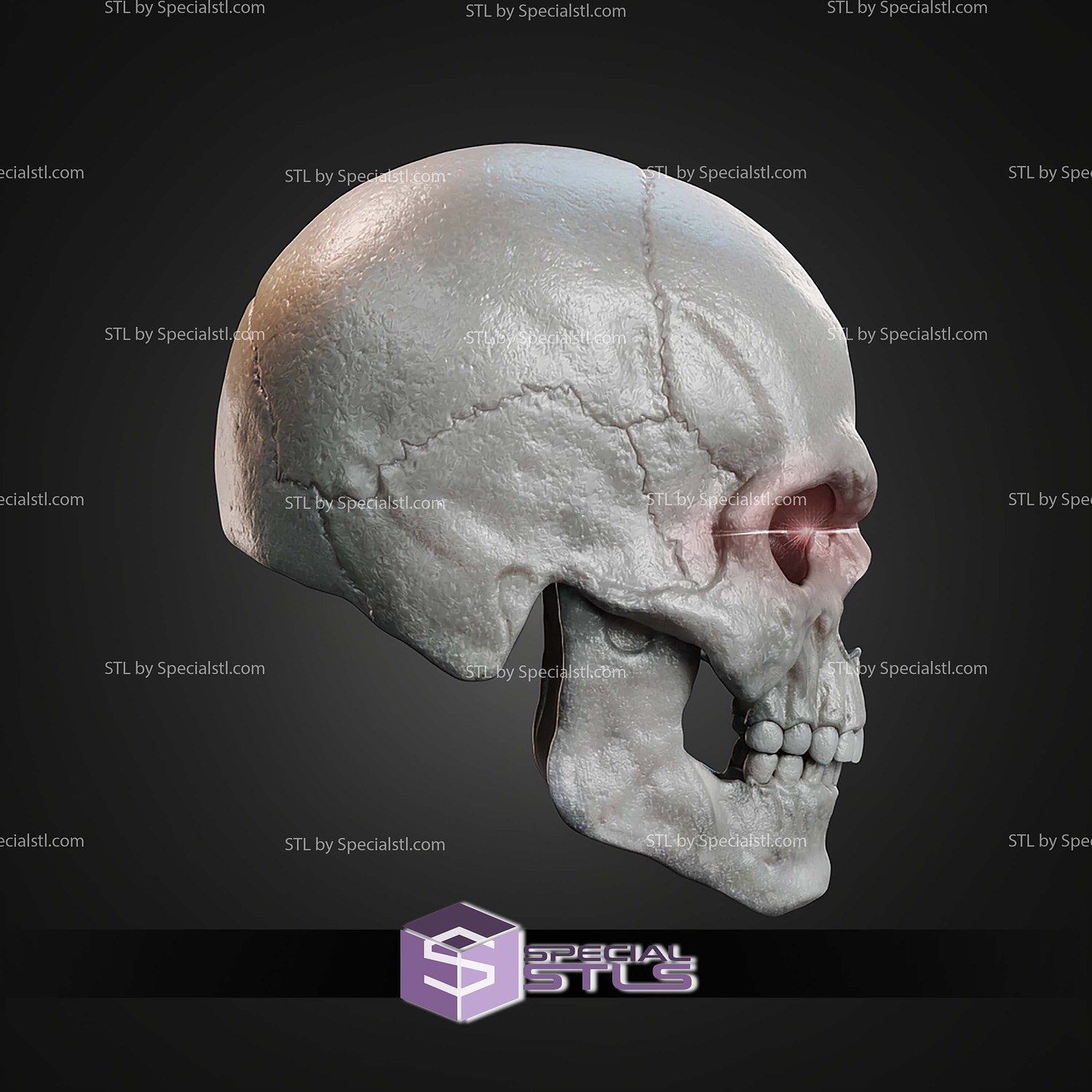Cosplay STL Files Skeletor Mask 3D Model — view 4