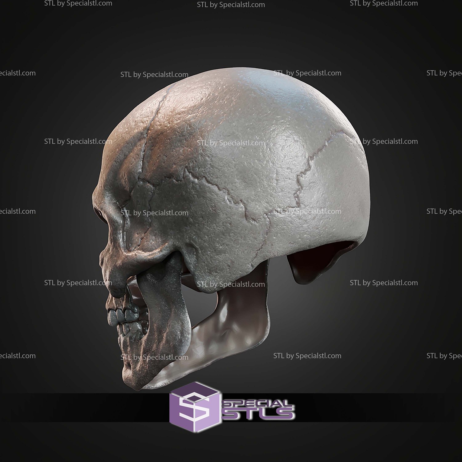 Cosplay STL Files Skeletor Mask 3D Model — view 5