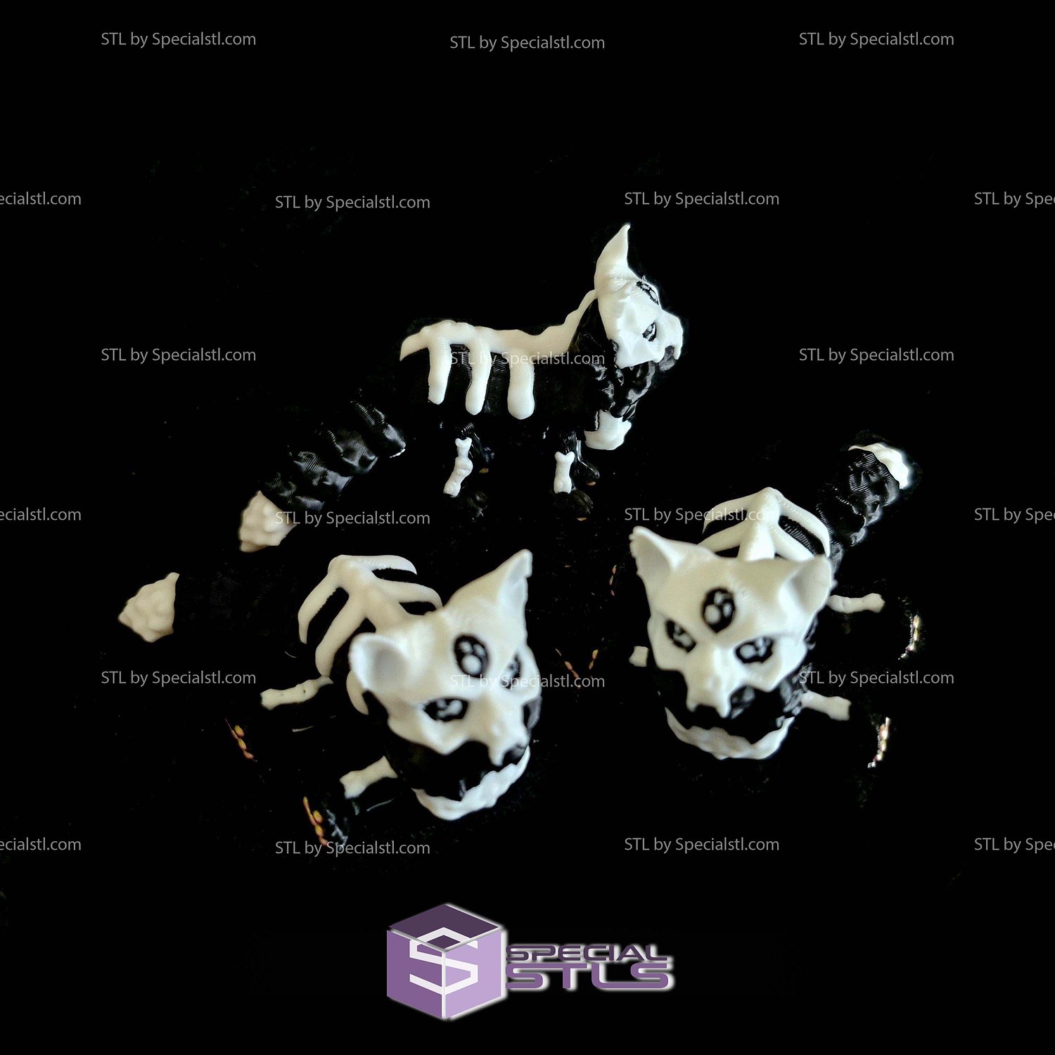 Super Basic STL Maine Coon Skull Cat 3D Model — view 2