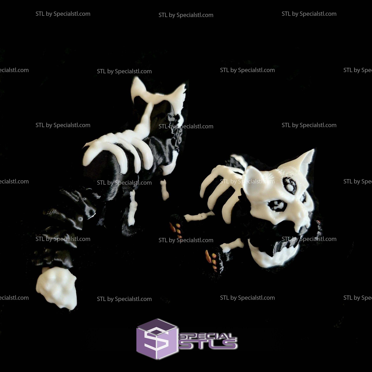 Super Basic STL Maine Coon Skull Cat 3D Model — view 3