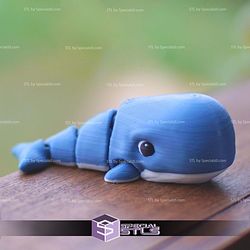 Super Basic STL Flexi Wiggly Whale 3D Model