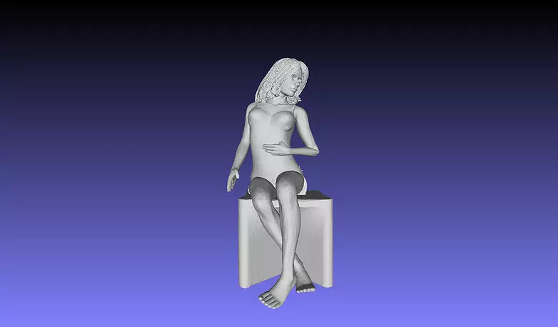 Printle XC Femme 001 P 3D PLY Model