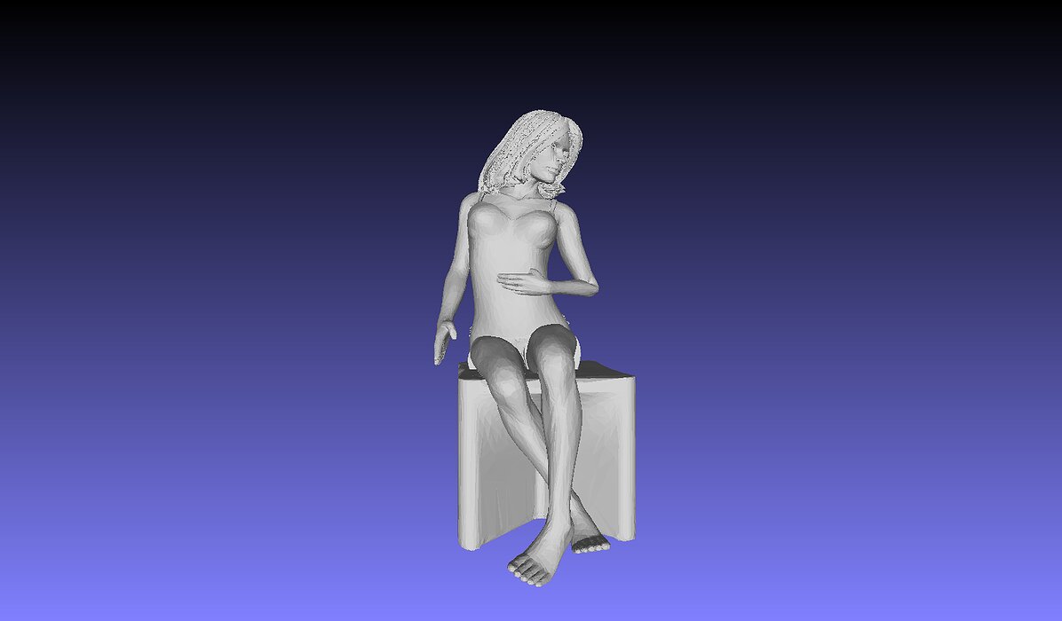 Printle XC Femme 001 P 3D PLY Model — view 2