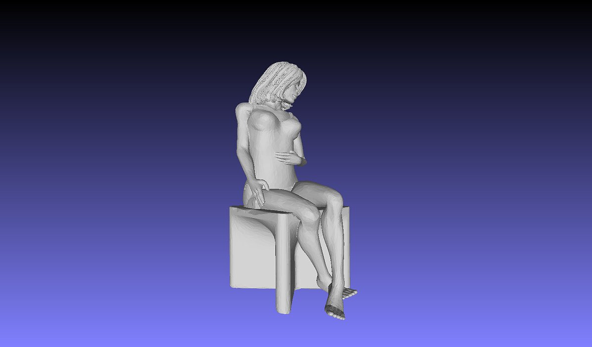 Printle XC Femme 001 P 3D PLY Model — view 7