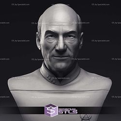 Patrick Stewart Jean-Luc Picard Bust 3D Printing Models STL Model