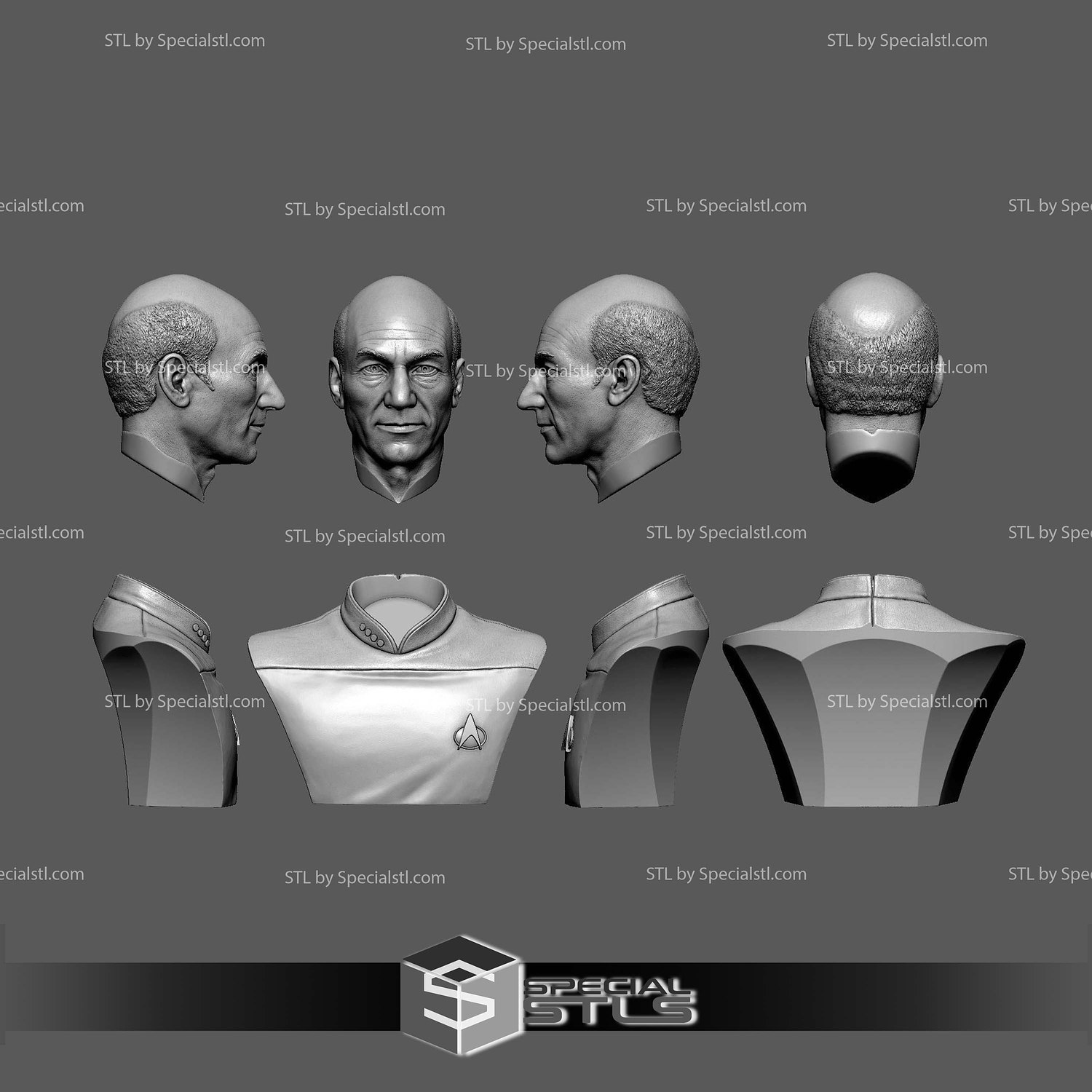 Patrick Stewart Jean-Luc Picard Bust 3D Printing Models STL Model — view 2