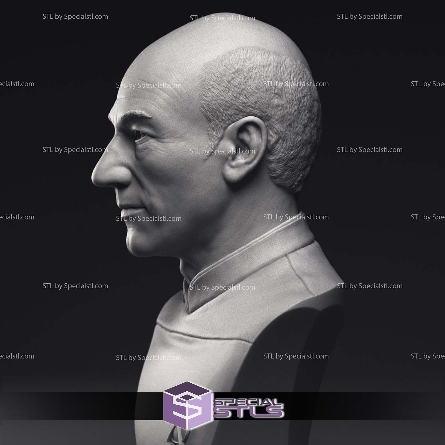 Patrick Stewart Jean-Luc Picard Bust 3D Printing Models STL Model — view 3