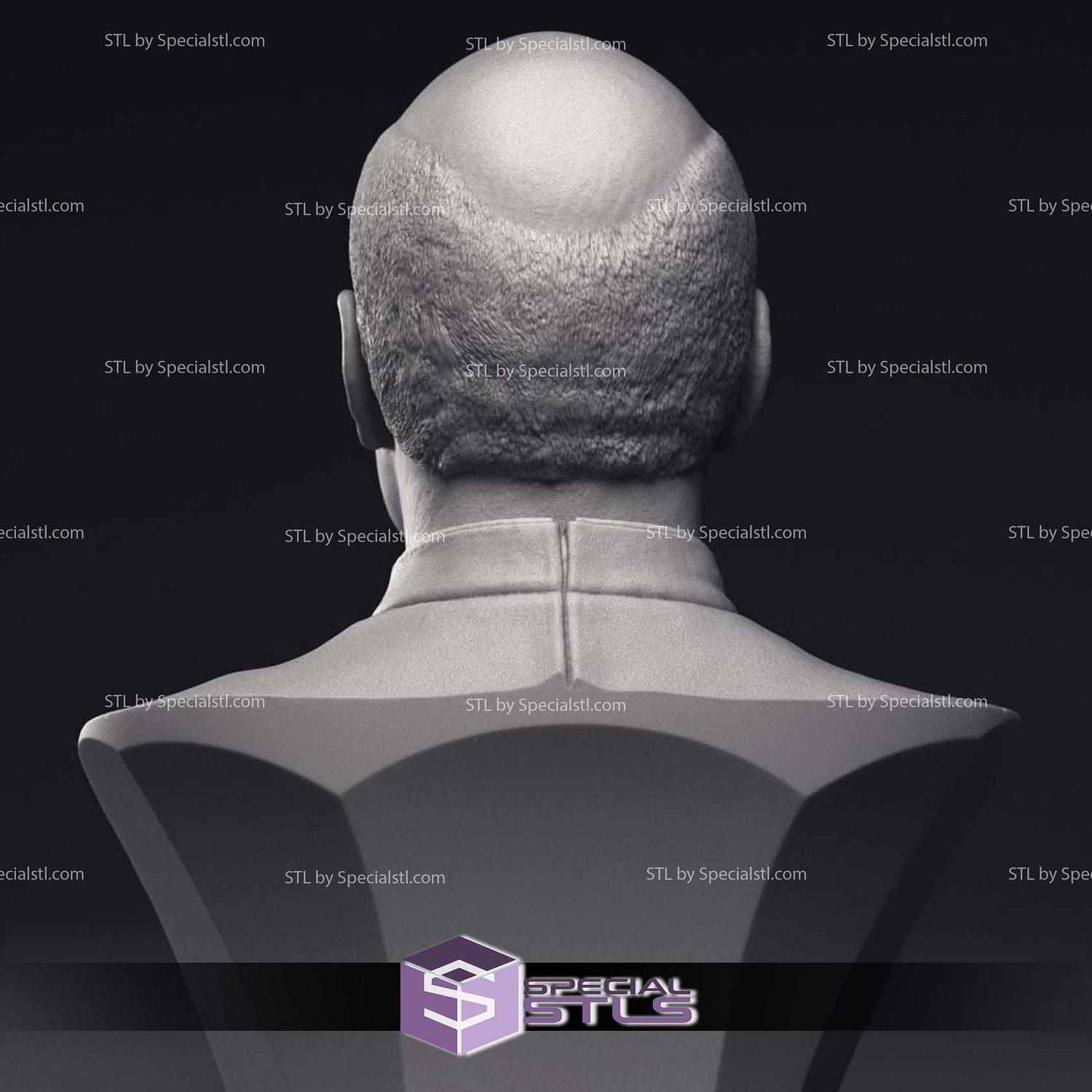 Patrick Stewart Jean-Luc Picard Bust 3D Printing Models STL Model — view 4