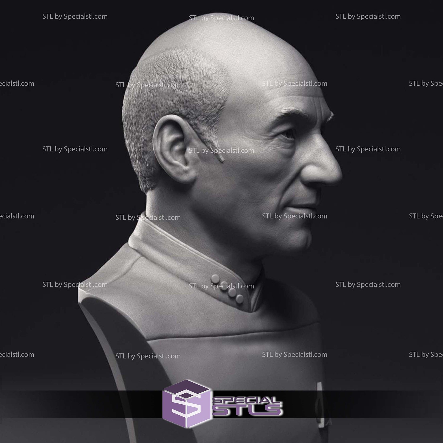 Patrick Stewart Jean-Luc Picard Bust 3D Printing Models STL Model — view 5