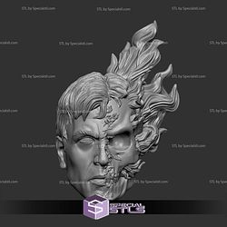 Custom Head STL Johnny Blaze Ghost Rider 3D Model