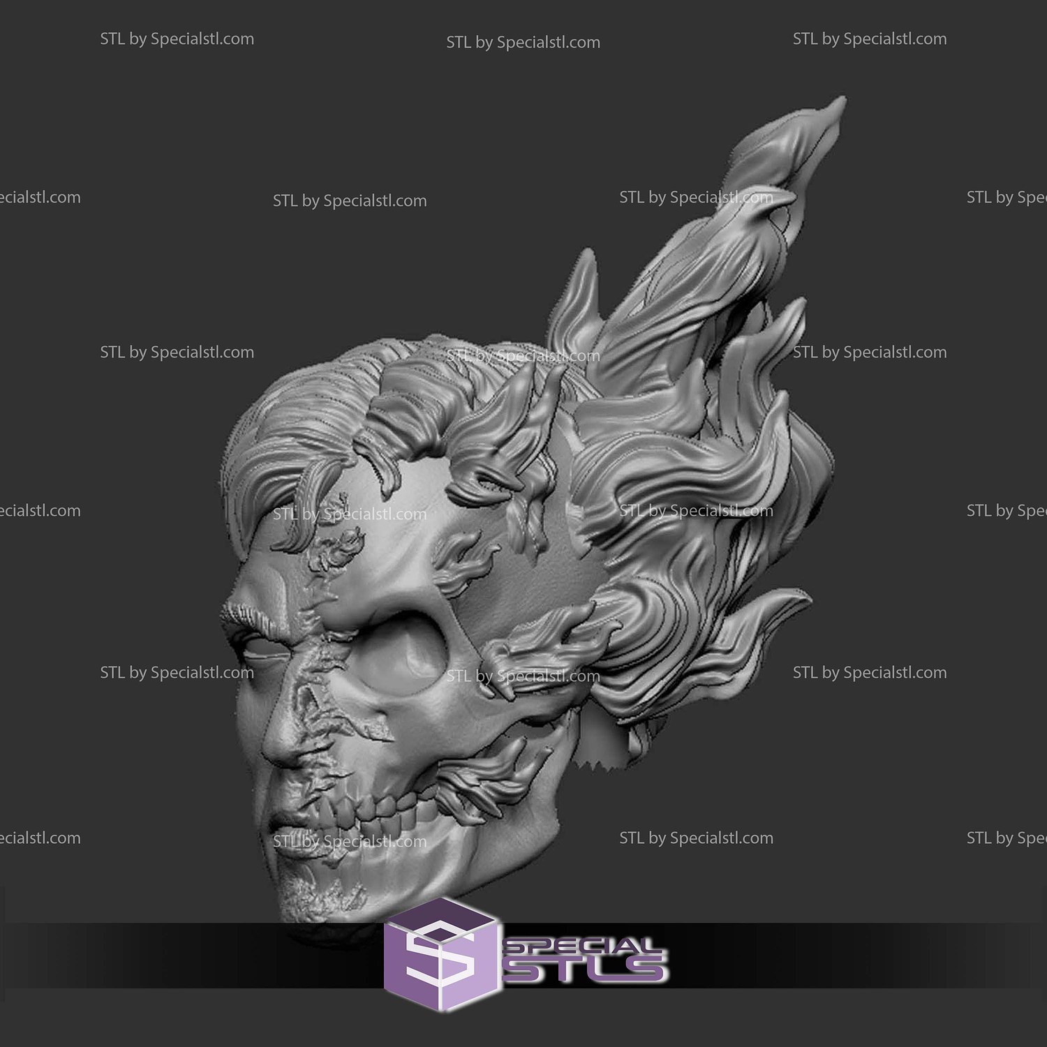 Custom Head STL Johnny Blaze Ghost Rider 3D Model — view 2