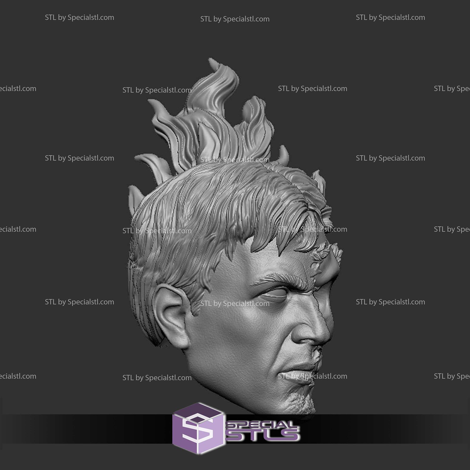 Custom Head STL Johnny Blaze Ghost Rider 3D Model — view 3