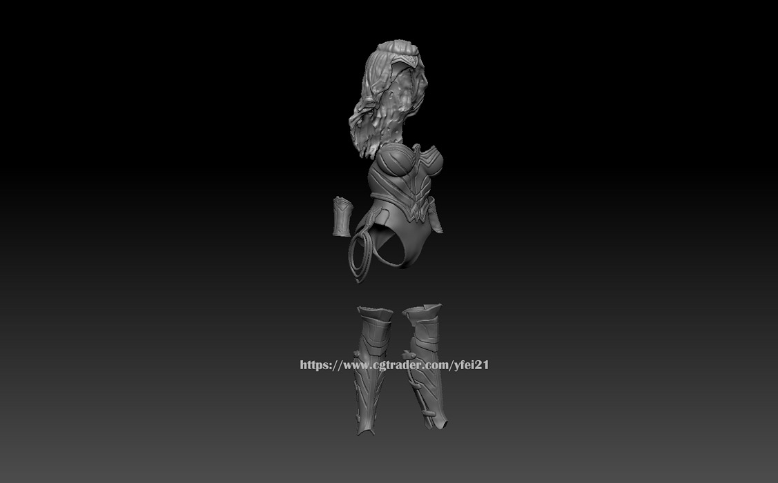Customizable Wonder Woman Figure For 3D Printing STL Model — view 2