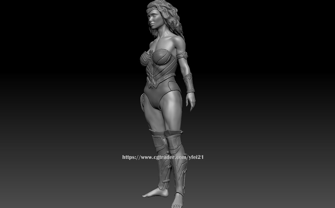 Customizable Wonder Woman Figure For 3D Printing STL Model — view 4