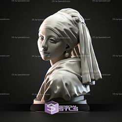 Mini Bust Character Collection STL Johannes Vermeer 3D Model