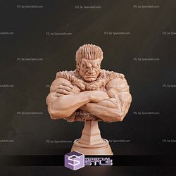 Zodd Berserk Bust STL Files 3D Model