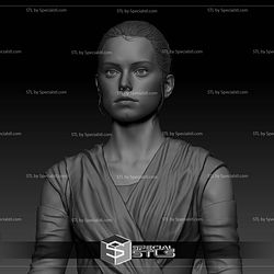 Daisy Ridley Rey Star Wars Bust 3D Print Files STL Model