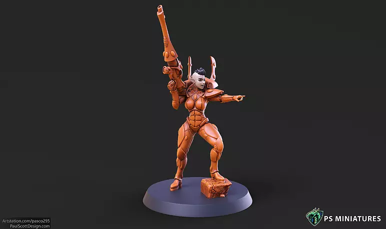 Elf Female Soldier Pose 2 - 8 Variants and 2 Pinups 3D STL Model