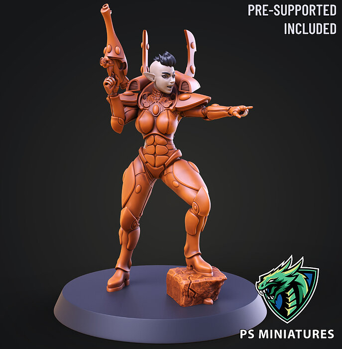 Elf Female Soldier Pose 2 - 8 Variants and 2 Pinups 3D STL Model — view 4