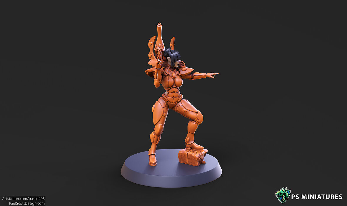 Elf Female Soldier Pose 2 - 8 Variants and 2 Pinups 3D STL Model — view 6