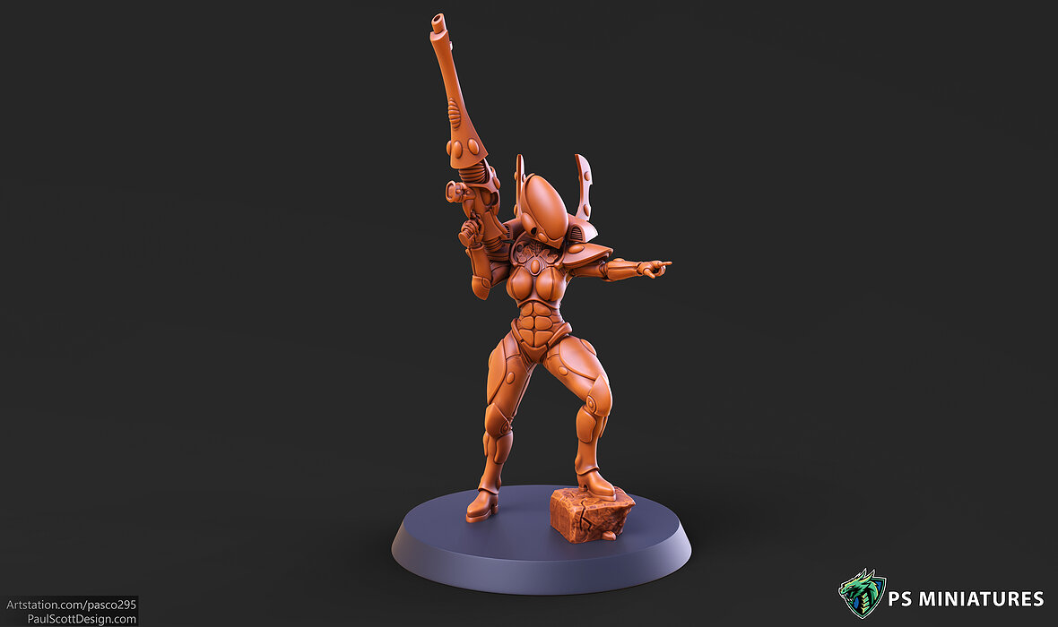 Elf Female Soldier Pose 2 - 8 Variants and 2 Pinups 3D STL Model — view 7