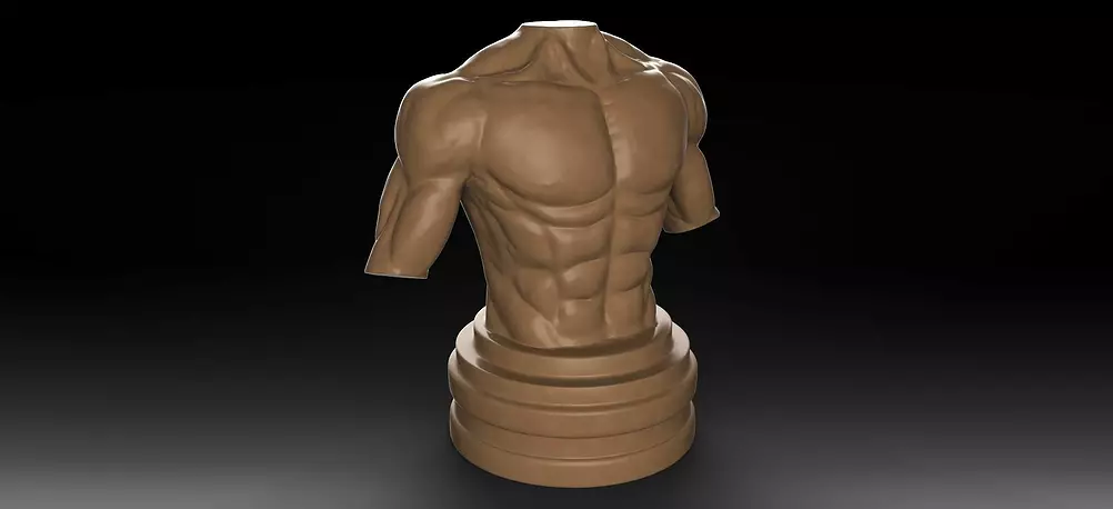 Muscular Male Torso 3D BLEND Model